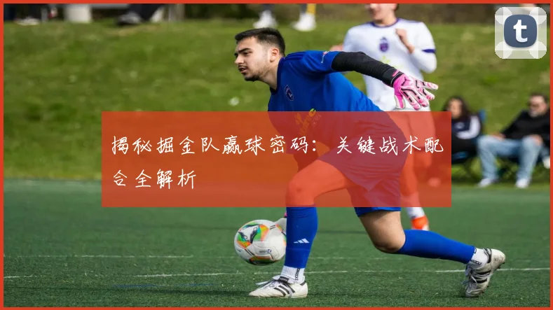揭秘掘金队赢球密码:关键战术配合全解析